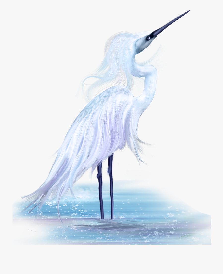 Ciconiiformes, Transparent Clipart