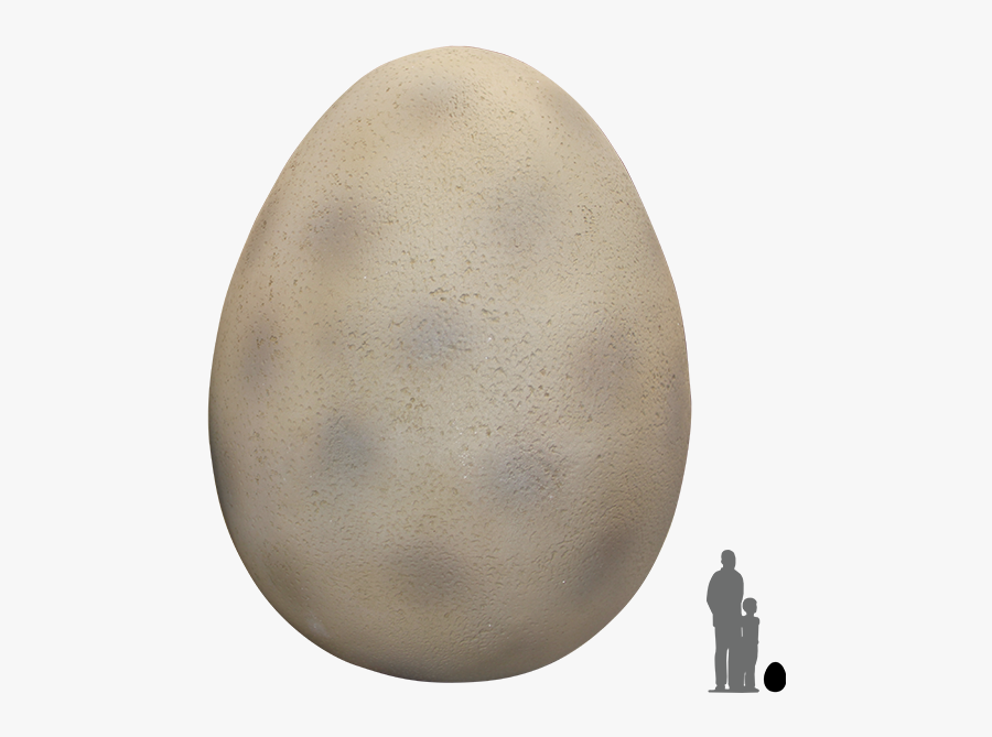 Real Dinosaur Egg Png, Transparent Clipart