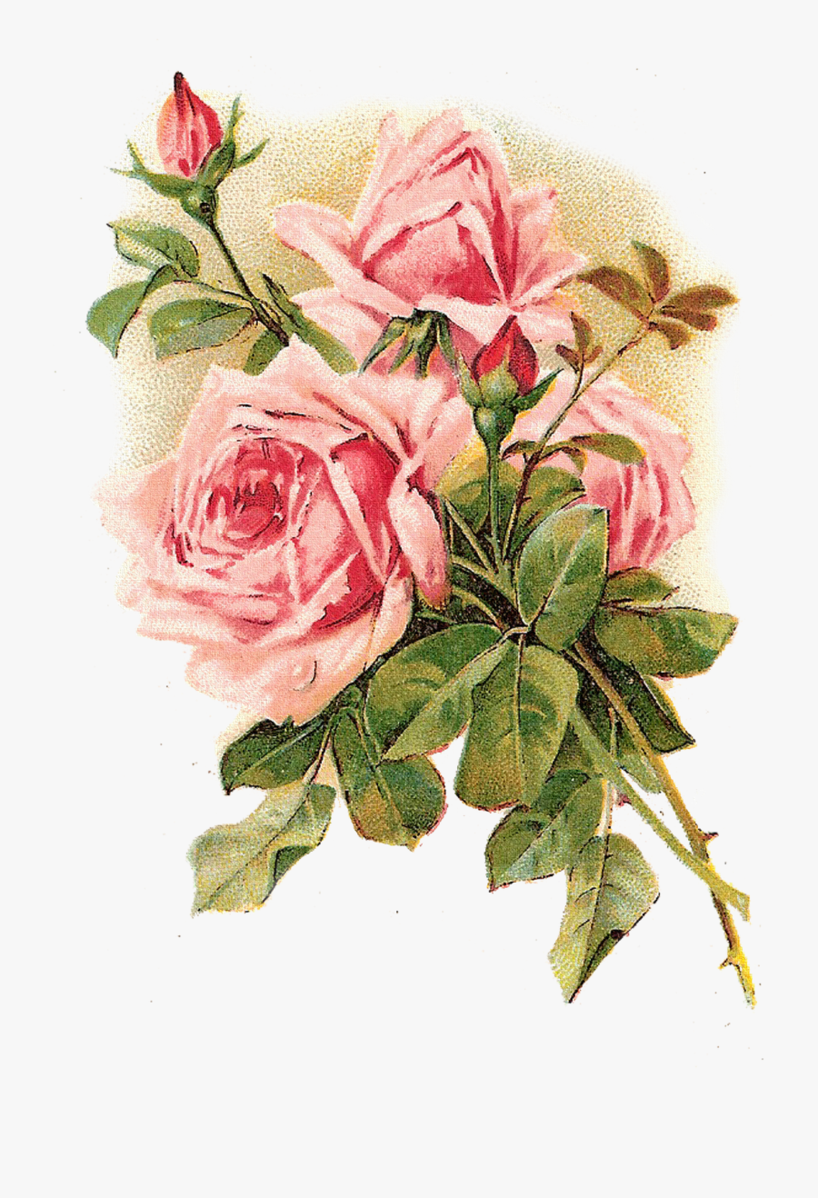Rose Vintage Clothing Flower Pink Shabby Chic , Free Transparent ...