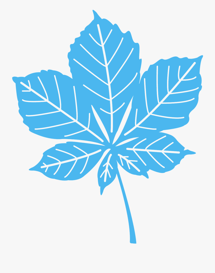 Foglia Di Castagno, Transparent Clipart