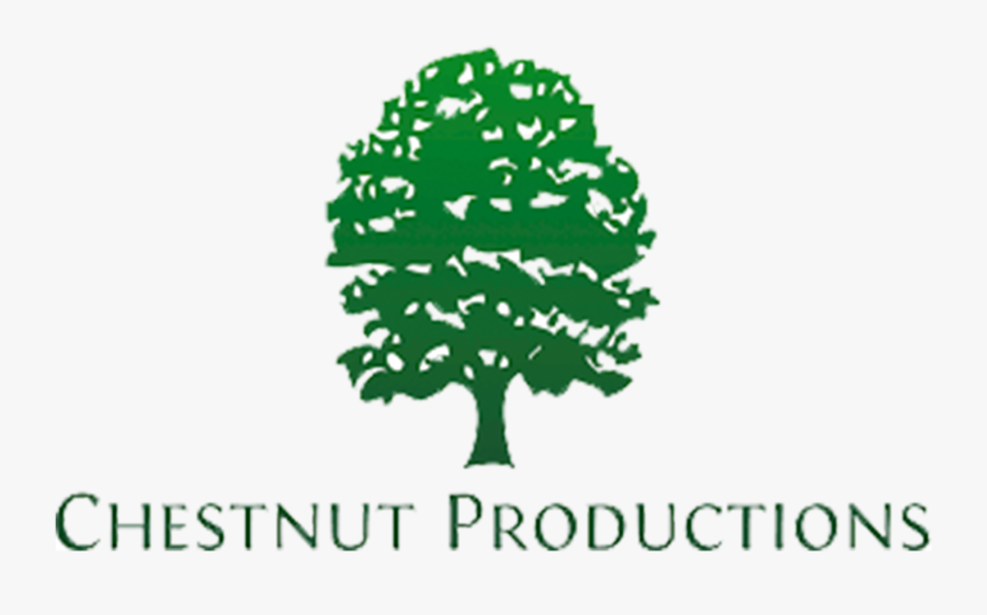 Transparent Eel Chestnut - Difference Between Coniferous And Deciduous, Transparent Clipart