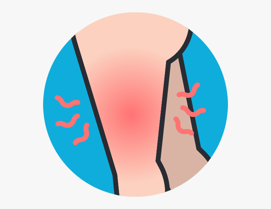 Circle, Transparent Clipart