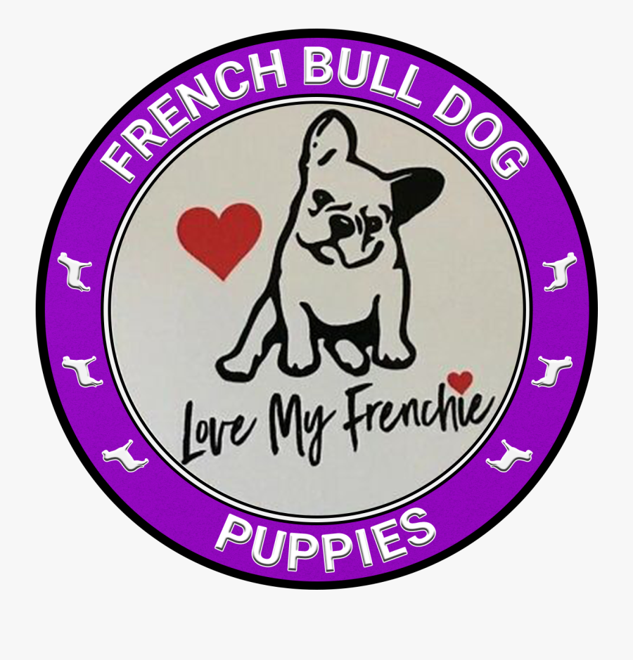 American Bulldog , Transparent Cartoons, Transparent Clipart