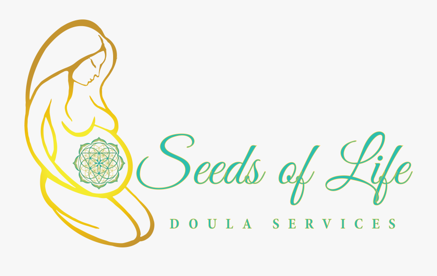 Your Owner"s Manual For Life - Calligraphy, Transparent Clipart