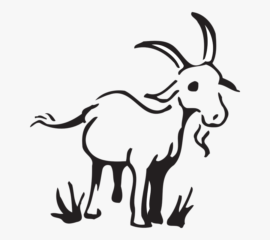 Barn, Farm, Grass, Goat, Standing, Animal - Simple Goat Clipart Black And White, Transparent Clipart