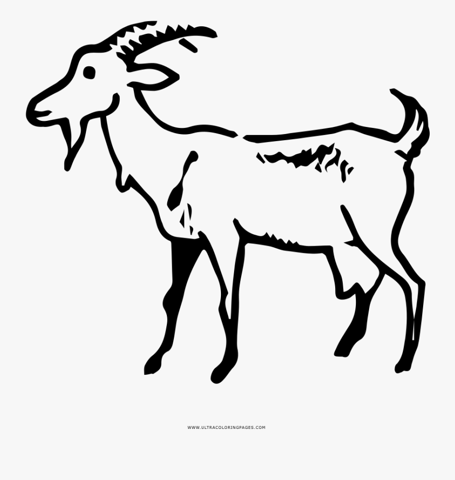 Goat White Png Coloring Page, Printable Goat White - Goat, Transparent Clipart
