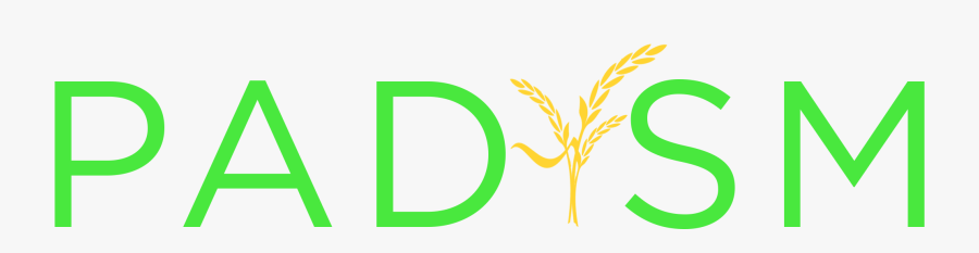 Graphic Design, Transparent Clipart