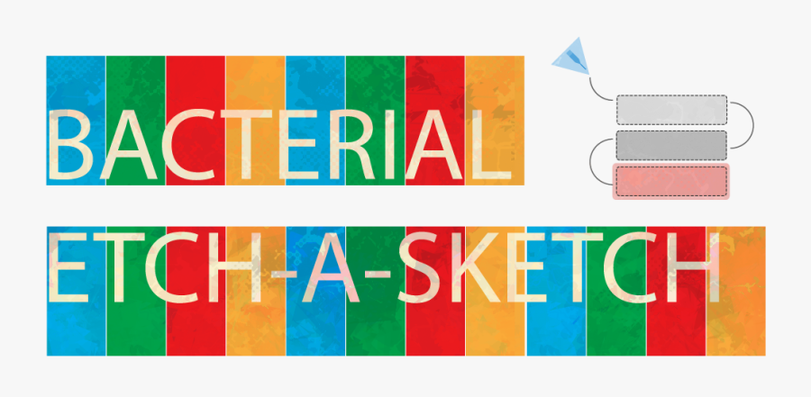 Graphic Design, Transparent Clipart