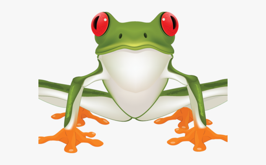 Red Eyed Tree Frog Clipart Tattoo - Green Tree Frog Clipart, Transparent Clipart