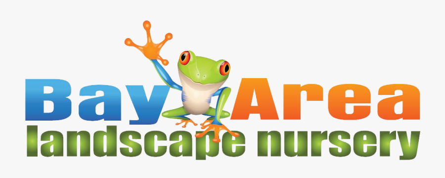 Garden Center, Landscape Design & Irrigation System, Transparent Clipart