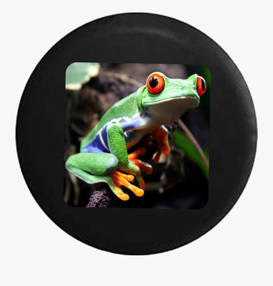 Transparent Tree Frog Png, Transparent Clipart