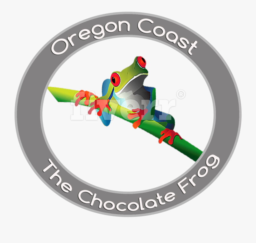 Red-eyed Tree Frog , Png Download - Red-eyed Tree Frog, Transparent Clipart