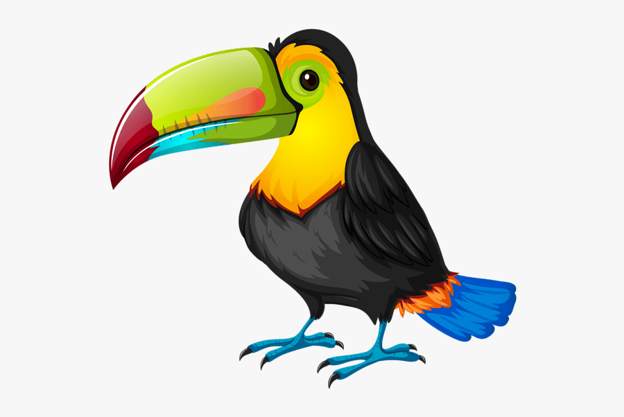 Toucan Clipart, Transparent Clipart