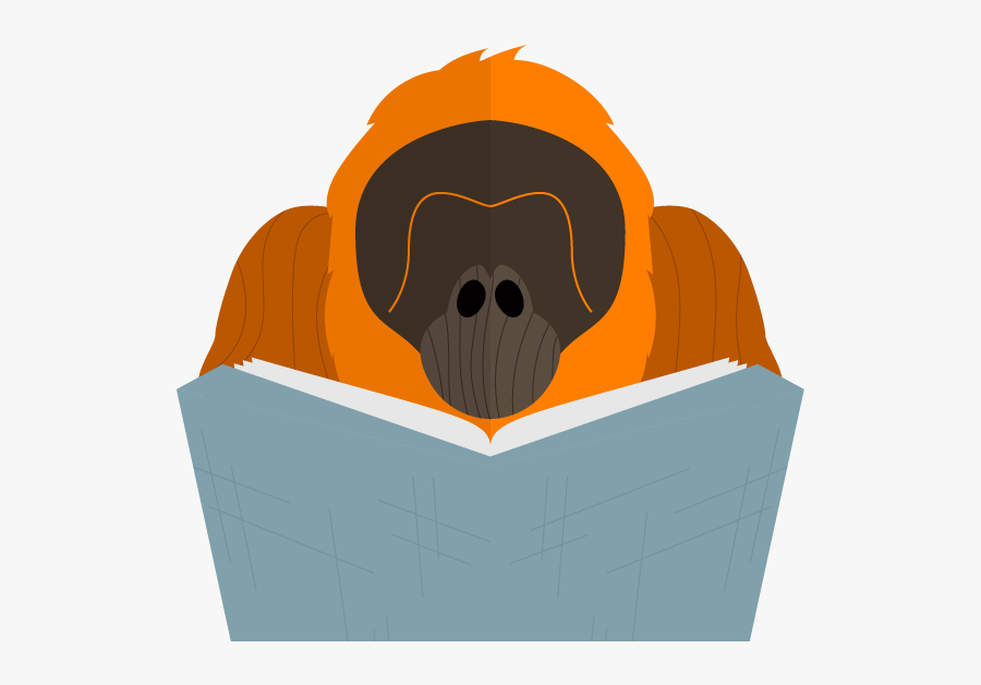 Nicolas Cage Orangutan Png - Illustration, Transparent Clipart