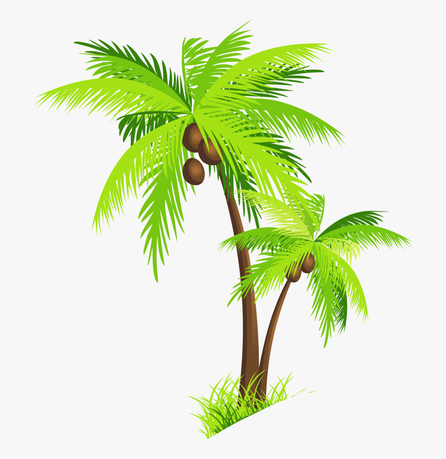 Transparent Background Coconut Tree Clipart, Transparent Clipart