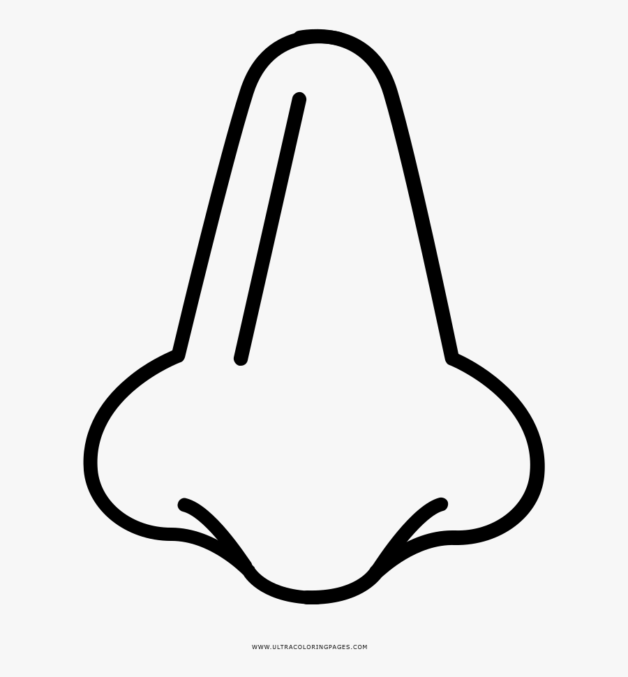 Nose Coloring Book Nostril Olfaction Lip - Black And White Transparent Background Nose Clipart, Transparent Clipart