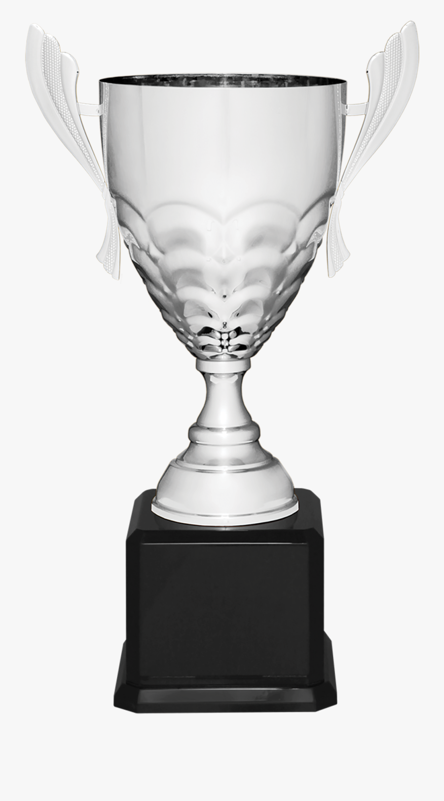 Cmcs - Trophy - Trophy, Transparent Clipart