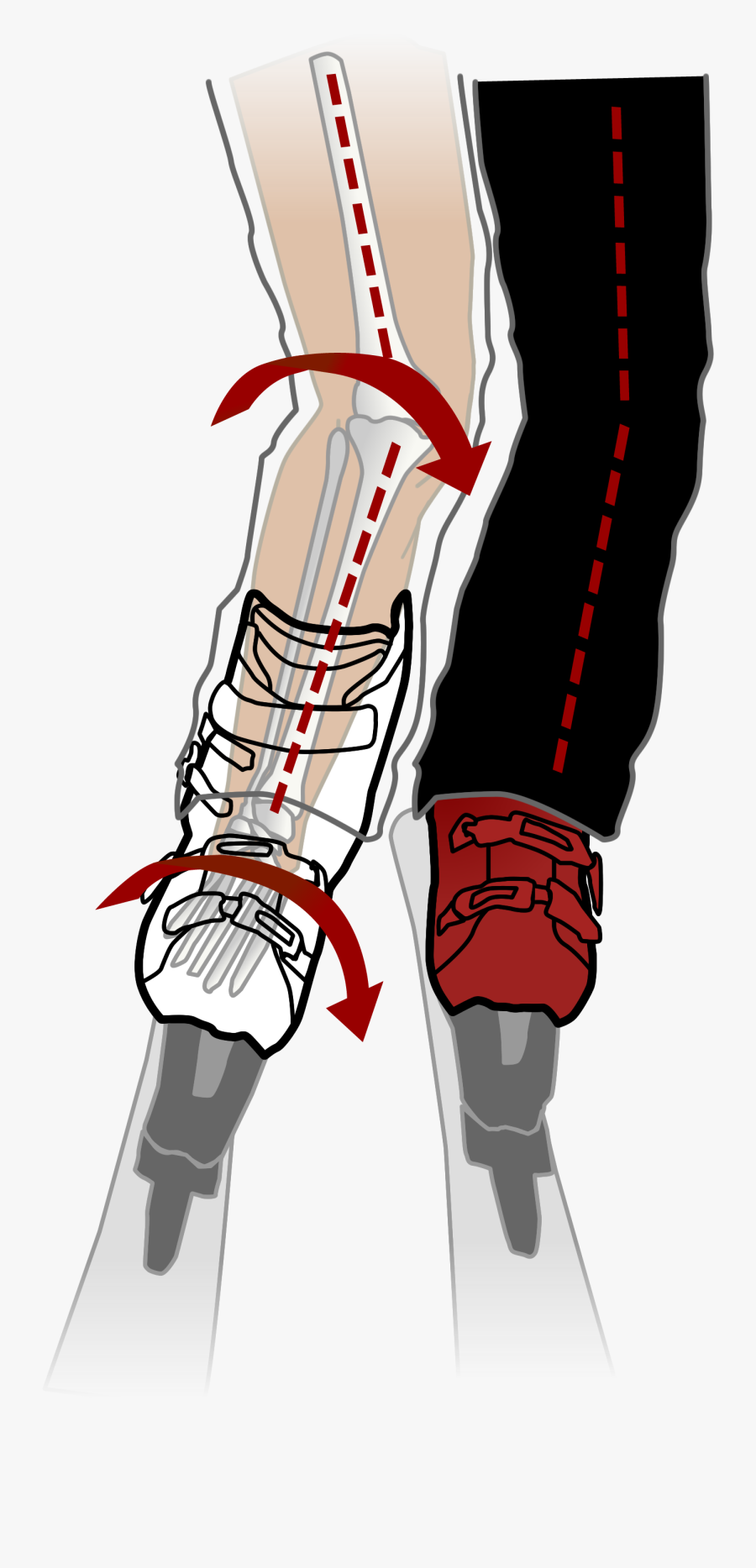 Ski Bend Without Formthotics - Illustration, Transparent Clipart