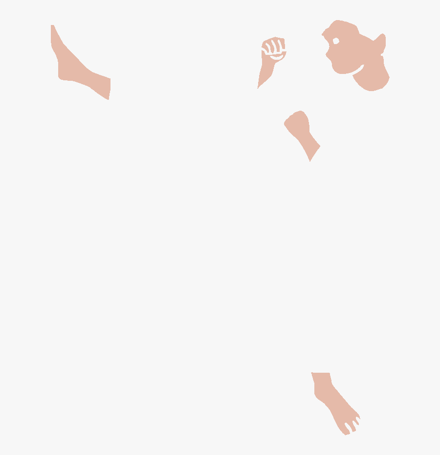 Eagle, Transparent Clipart