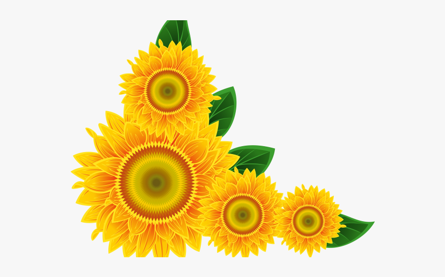 Sunflower Corner Border Png, Transparent Clipart