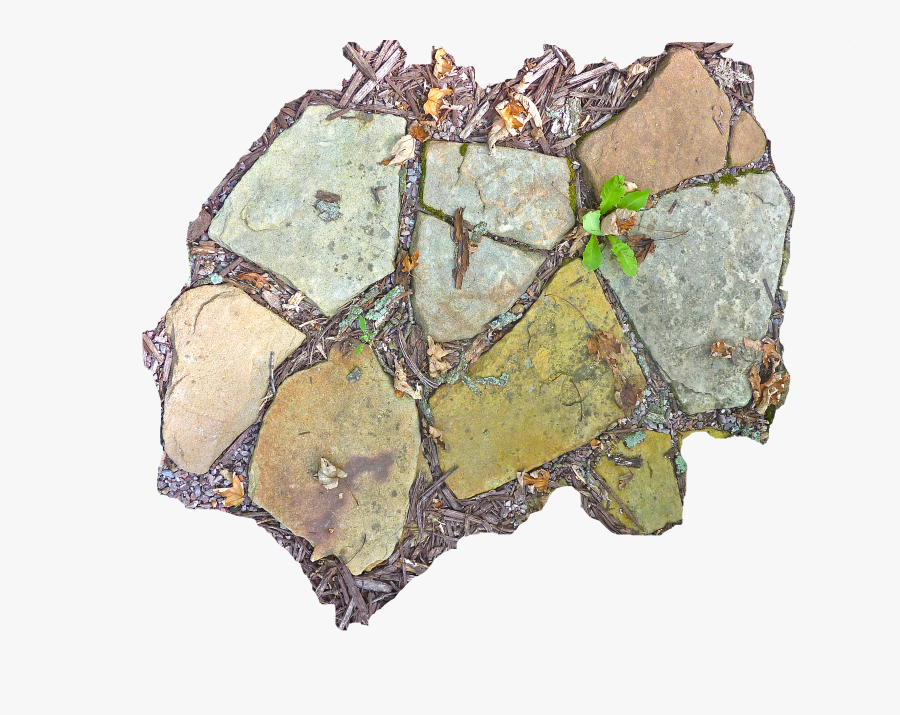 Visual Arts, Transparent Clipart