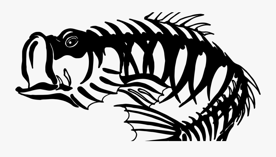 Largemouth Bass Png Clipart, Transparent Clipart
