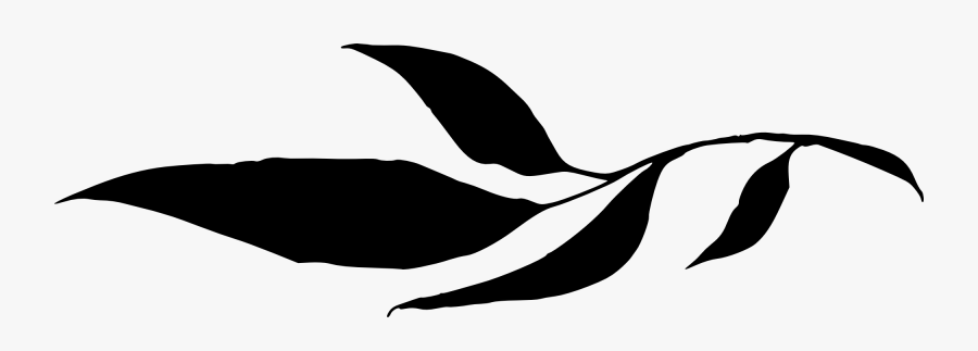 Leaf Silhouette Png Clipart , Png Download - Leaf Silhouette Transparent Background, Transparent Clipart