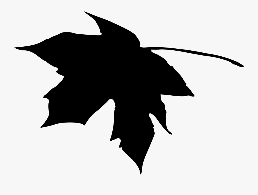 Leaf-silhouette - Transparent Maple Leaf Silhouette, Transparent Clipart