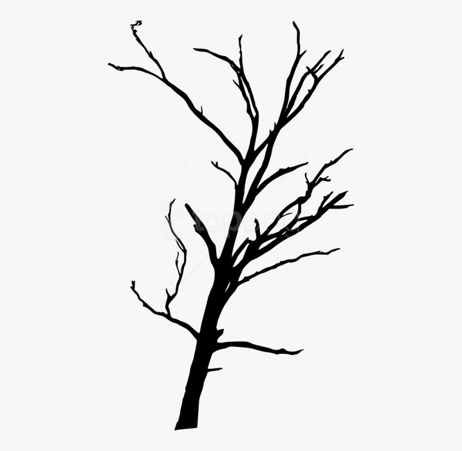 Free Png Dead Tree Silhouette Png Images Transparent - Dead Trees Transparent Background, Transparent Clipart