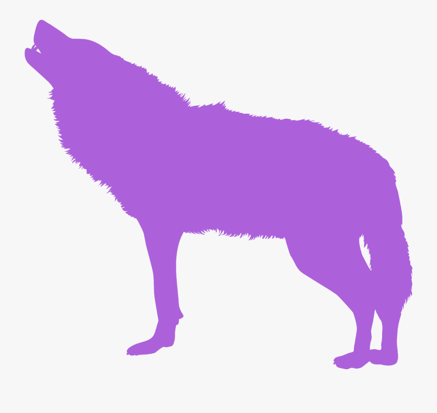 Dog Catches Something, Transparent Clipart