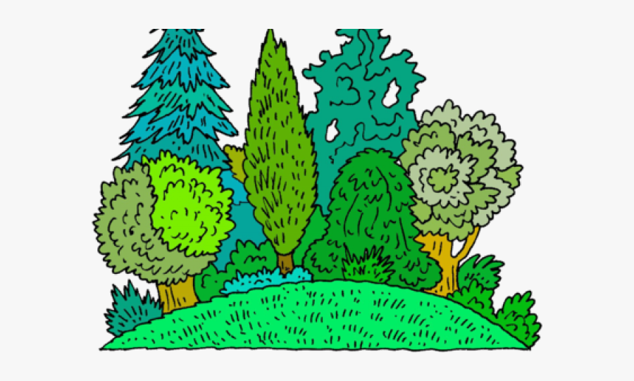 Bunch Of Trees Clip Art, Transparent Clipart