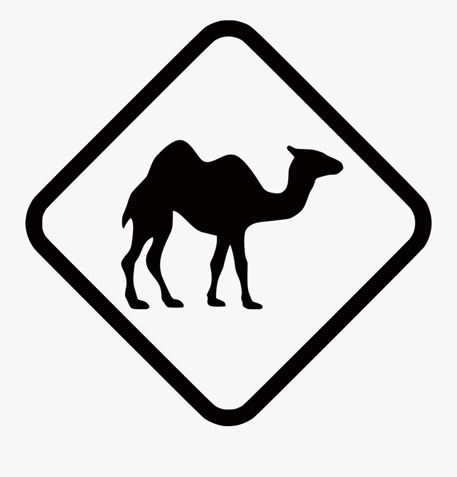 Black And White Camel Vector, Transparent Clipart