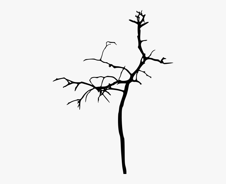 Simple Bare Tree Silhouette Png - Png Bare Tree Silhouettes, Transparent Clipart