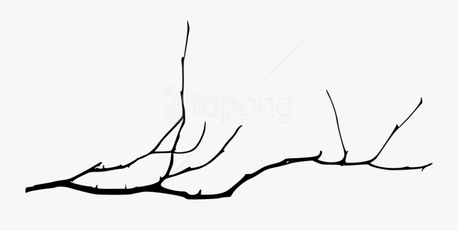 Free Png Simple Tree Branch Png - Simple Tree Branch Drawing, Transparent Clipart