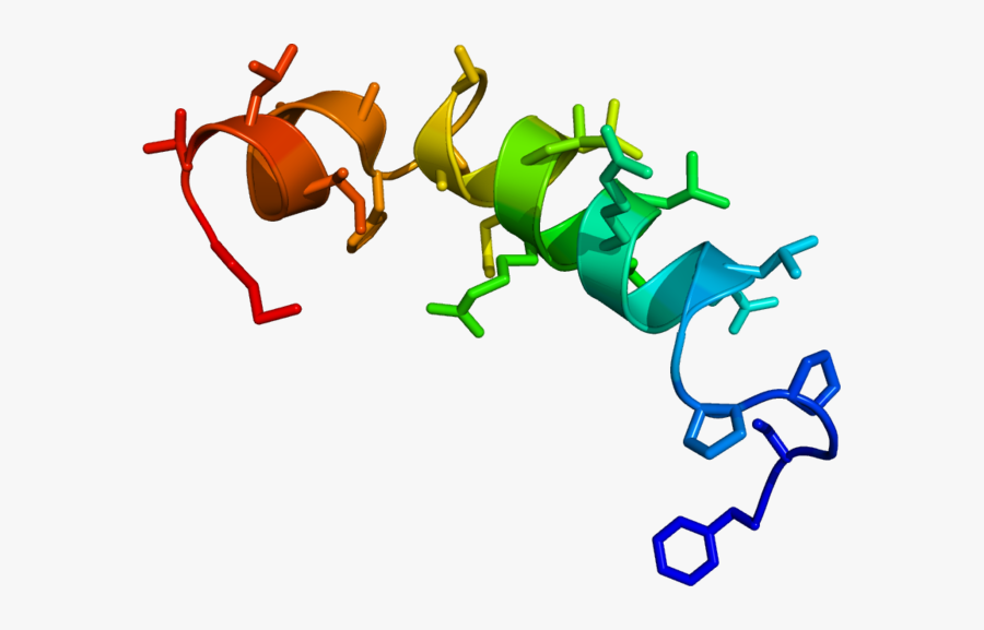 Neural Pathways To Sleep Clipart , Png Download - Comprehensive Chemistry Class 12, Transparent Clipart