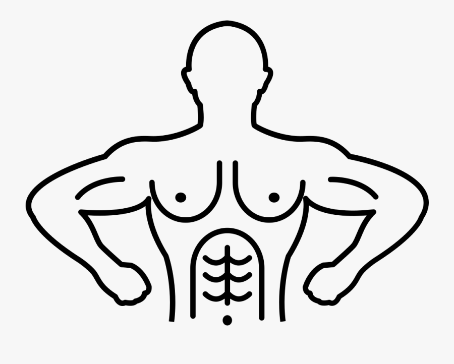 Male Gymnast Outline Variant - Muscle Drawing Png, Transparent Clipart