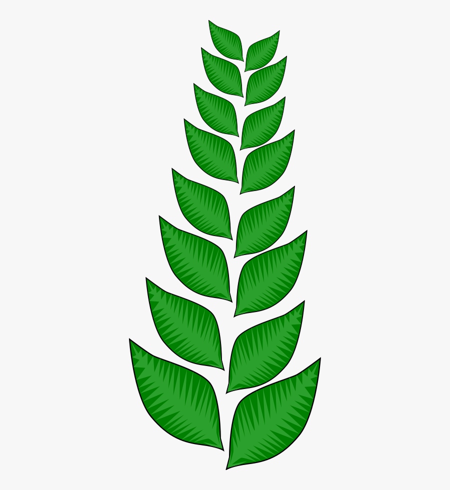 Maple Leaf Png Image - Vine With Leaves Cartoon, Transparent Clipart