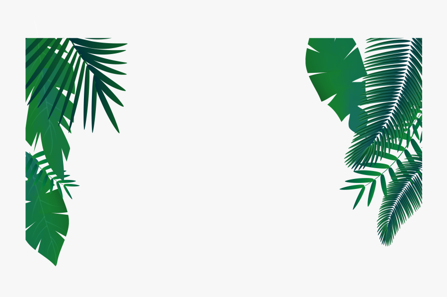 World Nature Conservation Day 2019, Transparent Clipart