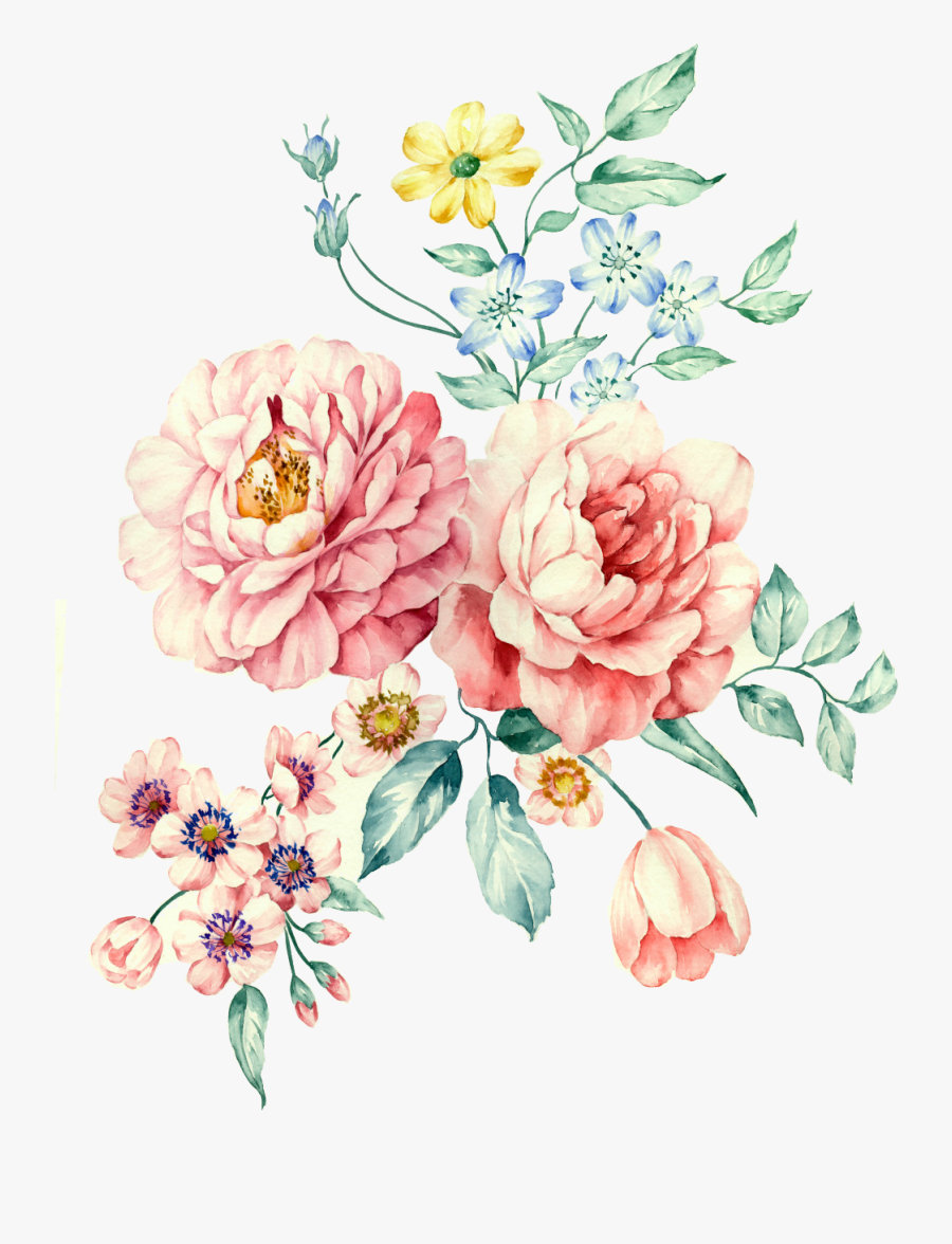 Moutan Peony Watercolor White Painting Hand-painted - Pink And White Peony Watercolor, Transparent Clipart