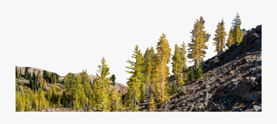 Mountain With Trees Png , Png Download - Mountains And Trees Png, Transparent Clipart