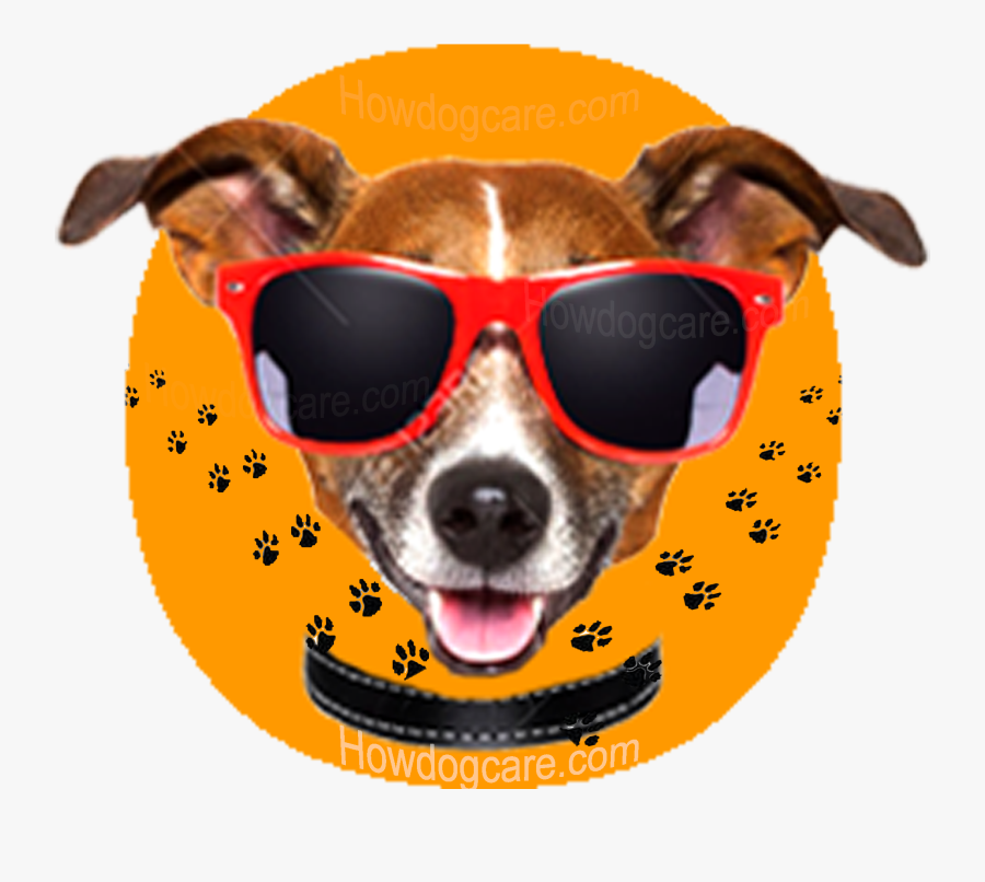 Dogs With Sunglasses - Victory Dog, Transparent Clipart