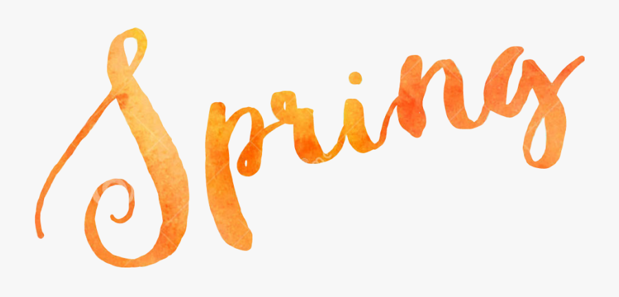 Calligraphy, Transparent Clipart