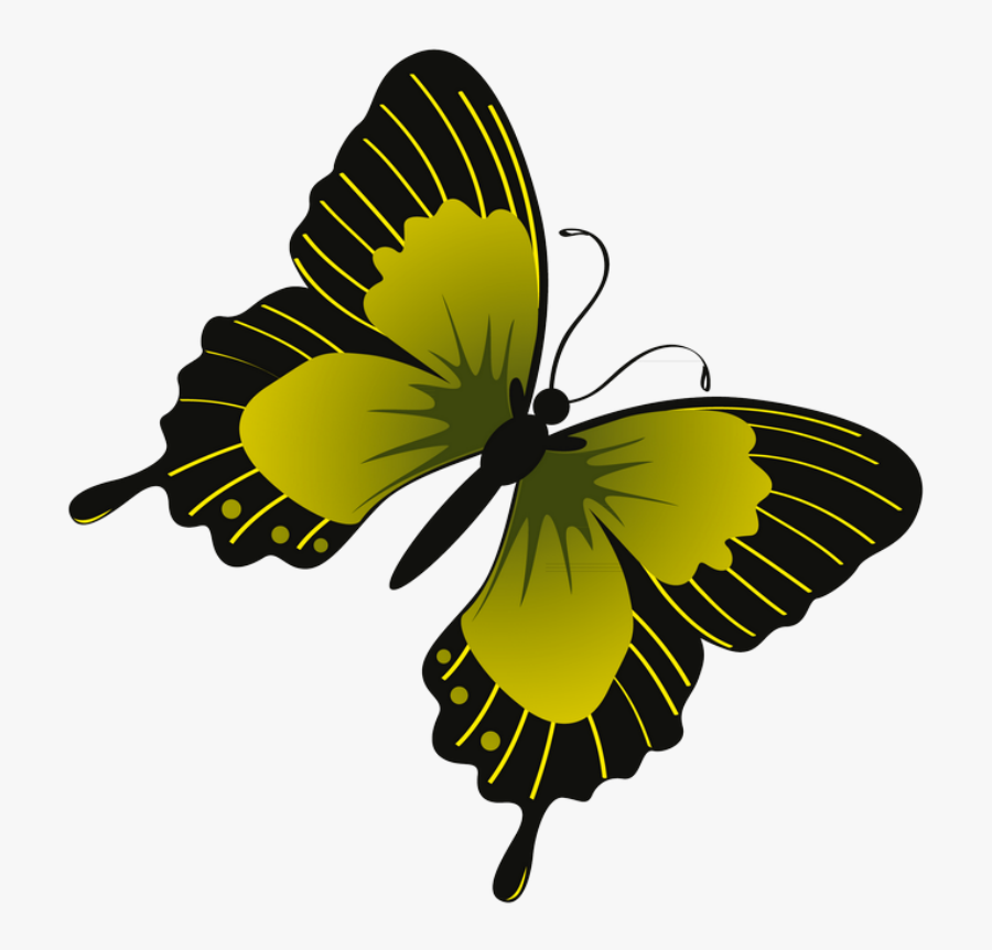 ‿✿⁀butterflies‿✿⁀ Butterfly Clip Art, Butterflies,, Transparent Clipart
