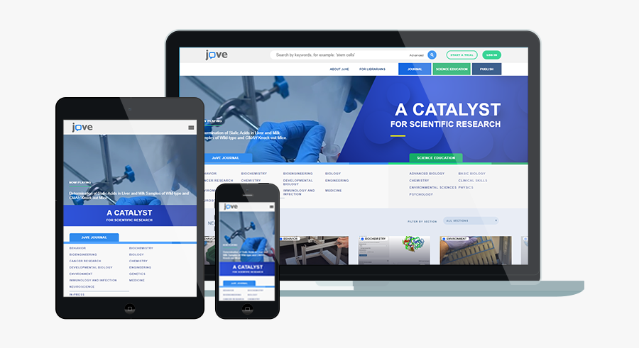 Iphone, Transparent Clipart