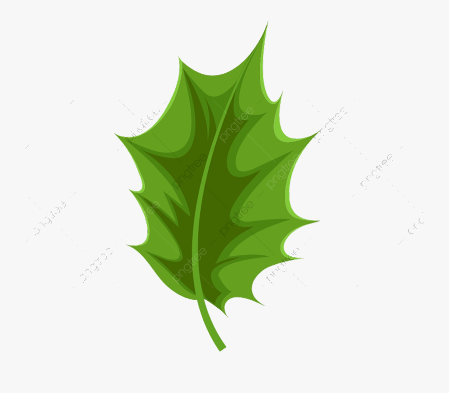 Holly Leaf Commercial Use Resource Upgrade To Premium - Holly Leaves Vector, Transparent Clipart