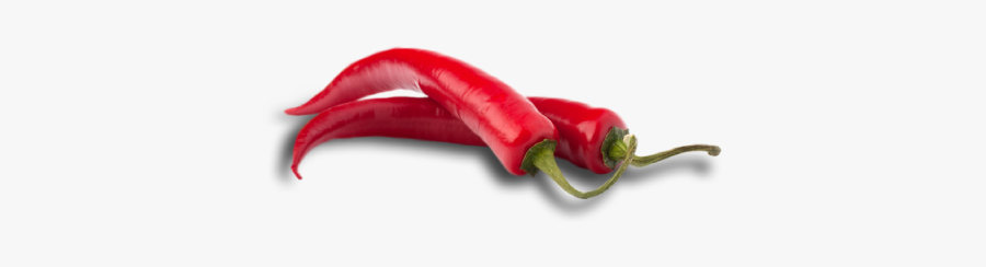 Peppers Clipart Serrano Pepper - Bird's Eye Chili, Transparent Clipart