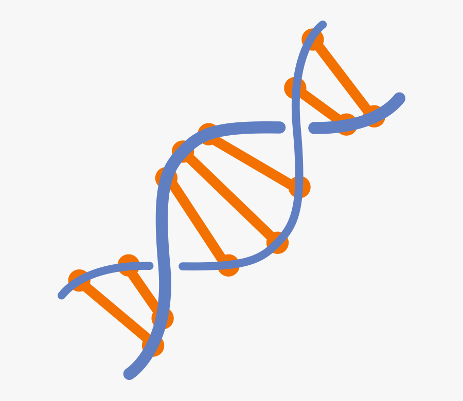 0 3 Choking Hazard, Transparent Clipart