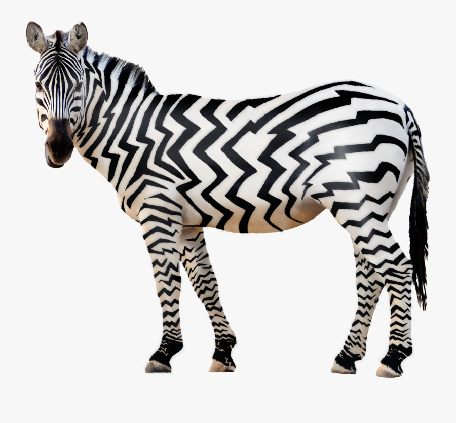 Zebra Png Free Download - Zebra Transparent, Transparent Clipart