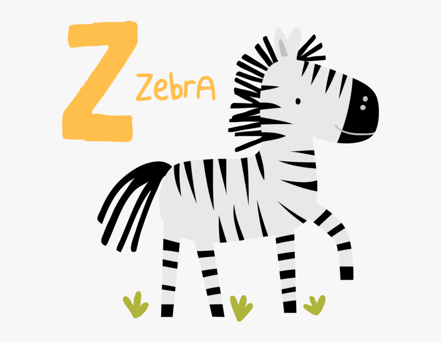 Zebra, Transparent Clipart