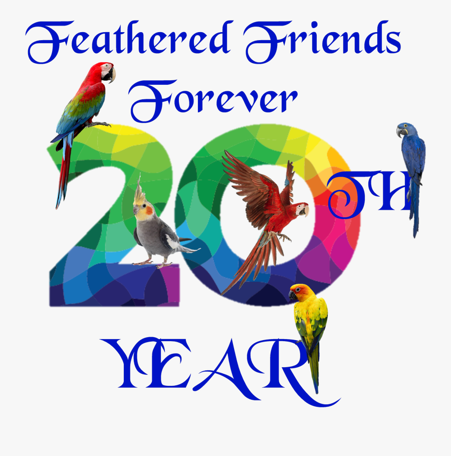 About Us Feathered Friends - Parakeet , Free Transparent Clipart